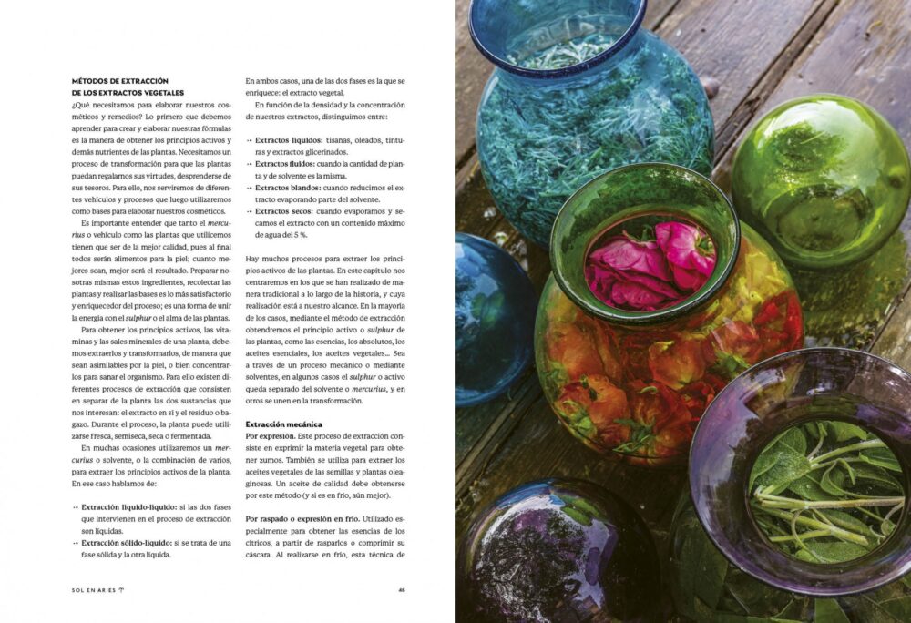 La magia de las plantas Vol. 1 | Ana Gayoso - Imagen 2