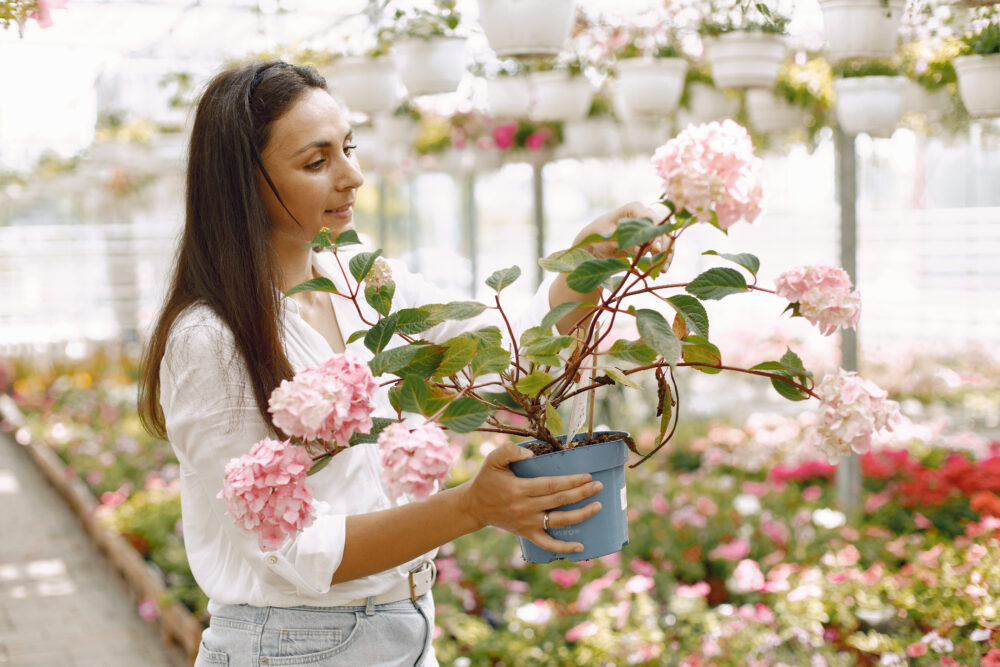 Taller Online | Diseño Floral para Bodas y Eventos - Imagen 2